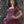 Da Vinci Quinceañera Dress 80113 Violet Da Vinci Quinceañera 