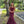 AMARRA 20255 Lace Mermaid Dress