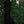 Athena Prom 8103 One Shoulder Velvet Sequin Fit-n-Flare Dress with Train - Emerald Green or Red