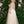 Abby Rose 8853 Cream Rosegold Tulle A-Line Dress Abby Rose / Athena Prom 