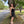 ALYCE Paris 4807 Black Charcoal Fringe Skirt Lace-Up Cocktail Dress Alyce Paris 
