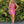 ALYCE Paris 4885 Striped Sequin Cocktail Dress