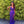 ALYCE Paris 61366 Fitted Sequin Dress with Slit - Dragonfly, Cobalt, Red and Burgundy