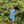 Ava Presley 27763 Sequin Cocktail Dress Ava Presley 