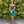 CLARISSE 30245 Off the Shoulder A-Line Cocktail Dress