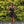 CLARISSE 30265 Black Sequin A-Line Cocktail Dress