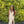CLARISSE 810237 Iridescent Ivory Sequin Sheath Dress with Slit