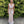 CLARISSE 8218 Pale Pink 2 Piece Sequin Dress Clarisse 
