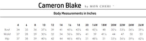 Size Chart for Cameron Blake by Mon Cheri. Body Measurements in inches.