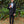 New Capitano Uomo Black 2 Piece Slim Fit Tuxedo Capitano Uomo 