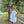 Carolina On My Mind Dress She + Sky 