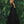 CLARISSE 810290 Black Off Shoulder Sequin Design Ballgown Clarisse 