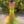 Ellie Wilde EW34016 Sequin Fit-n-Flare Dress Ellie Wilde 