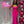 FLAIR Prom 25009 Fuchsia Pink Fitted Dress with Slit 