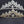 Crystal Cubic Zirconia Teardrop Cluster Silver Tiara Sophia Collection 