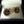 Boxed Masonic Cufflinks Tenso Fashion 