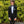 Black Pick Stitch Peak Lapel Modern Fit Tuxedo by SAVVI Savvi Evening Collection 