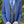 New Slim Fit Navy w/ Black Shawl Tuxedo Jacket & Pant Fabian Couture Group LLC 
