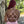 INTRIGUE 91033 Bubblegum Pink Sequin Dress