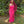 INTRIGUE 91048 Fuchsia Sequin Dress