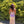Lucci Lu 1333 One Shoulder Iridescent Sequin Fitted Dress Lucci Lu 