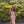 Lucci Lu 1333 One Shoulder Iridescent Sequin Fitted Dress Lucci Lu 