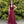 Lucci Lu style 93101 dress in Burgundy