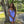 NOX Anabel T736 Strappy Back Cocktail Dress NOX ANABEL 