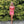 NINA CANACCI 311 Sequin Cocktail Dress Nina Canacci 