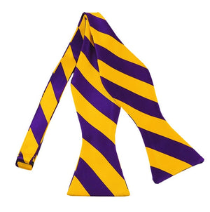 Deep Purple and Golden Yellow College Stripe Self Tie Bow Tie Manzini Neckwear 