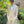 Tan Allure Destination Tuxedo Jacket and Pants by Jean Yves