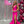 Ava Presley 39277 Fuchsia Fit-n-Flare Dress Ava Presley 