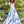 Clarisse 3538 White Print V-Neck A-Line Dress