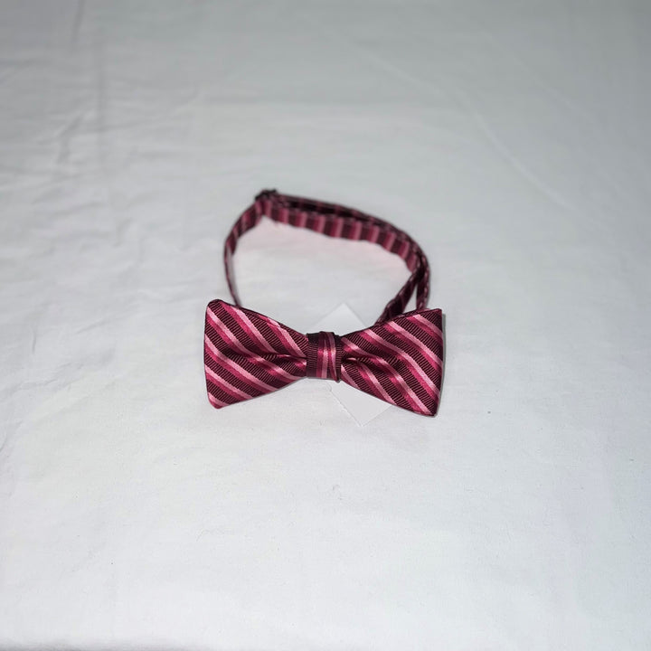 Men's Reflections Stripe Pre-tied Bow Tie - 19 Colors