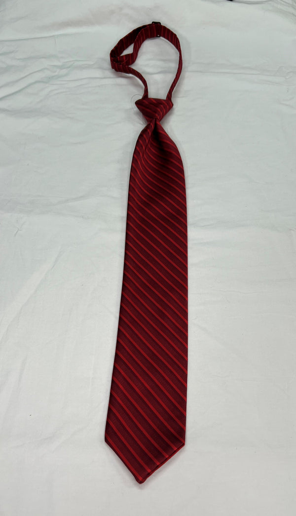 Men's Reflections Stripe Pre-tied Long Tie - 19 Colors